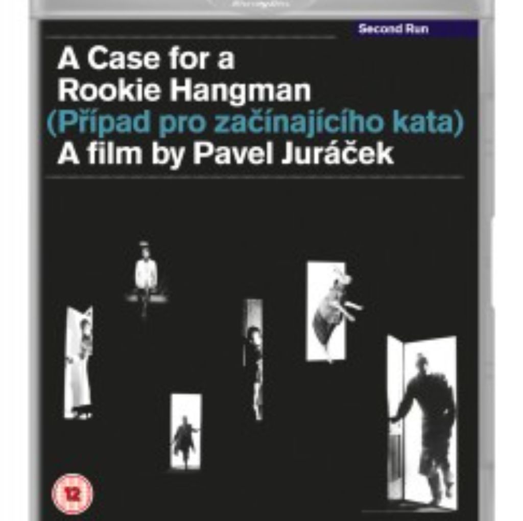 A Case for a Rookie Hangman