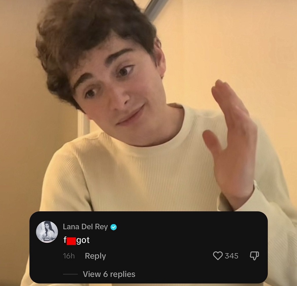 Lana Del Rey Comment On Noah Schnapp