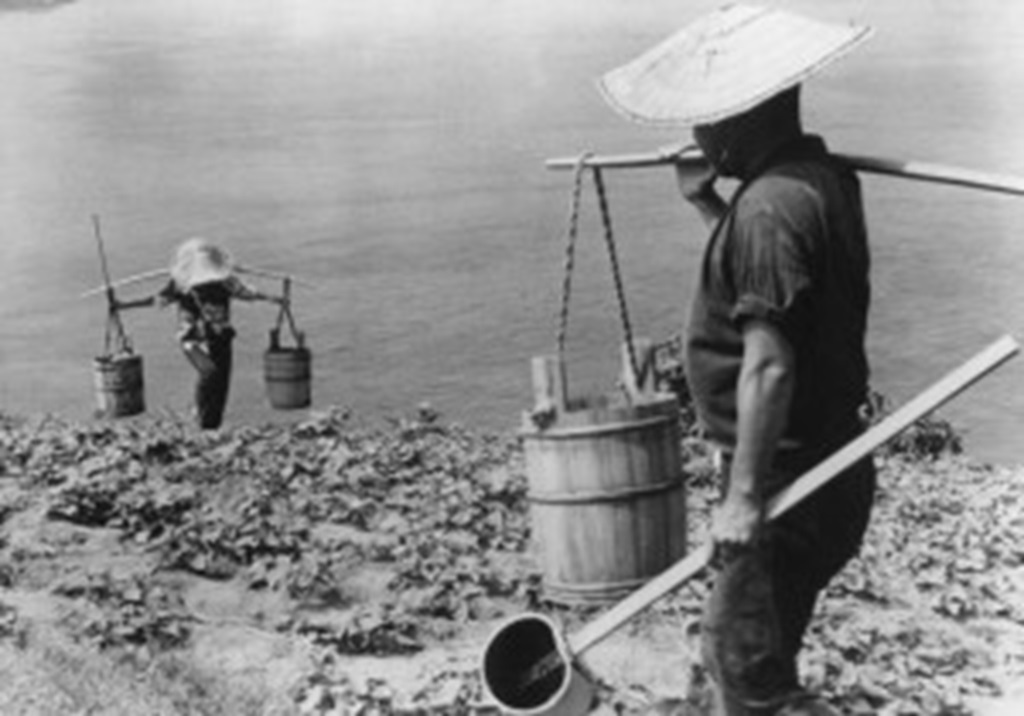 A Review of The Naked Island