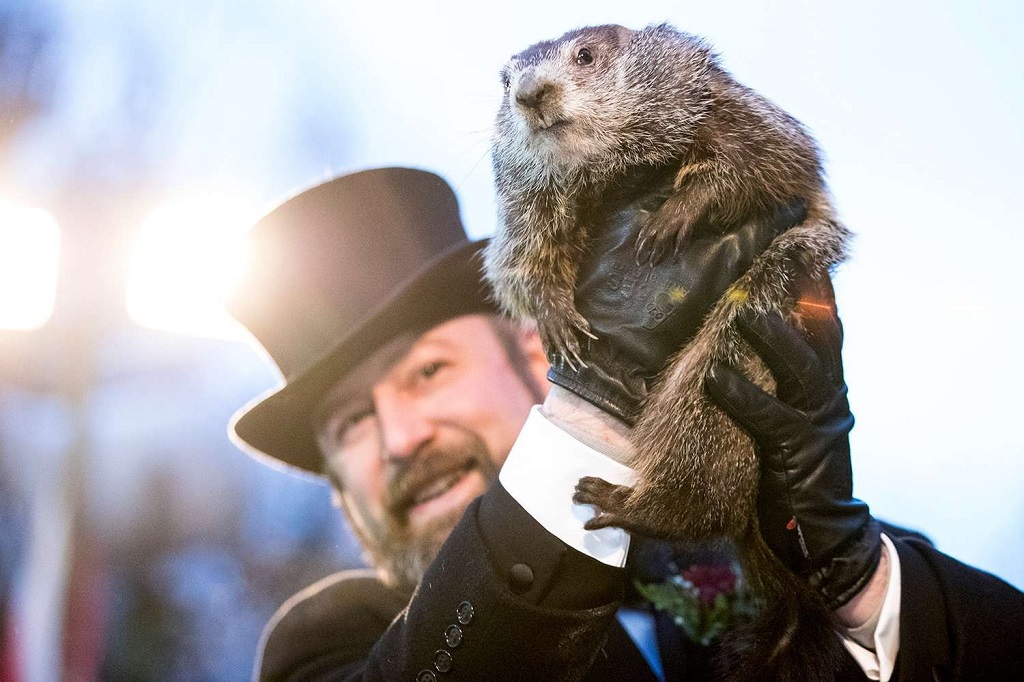 Punxsutawney Phil Prediction