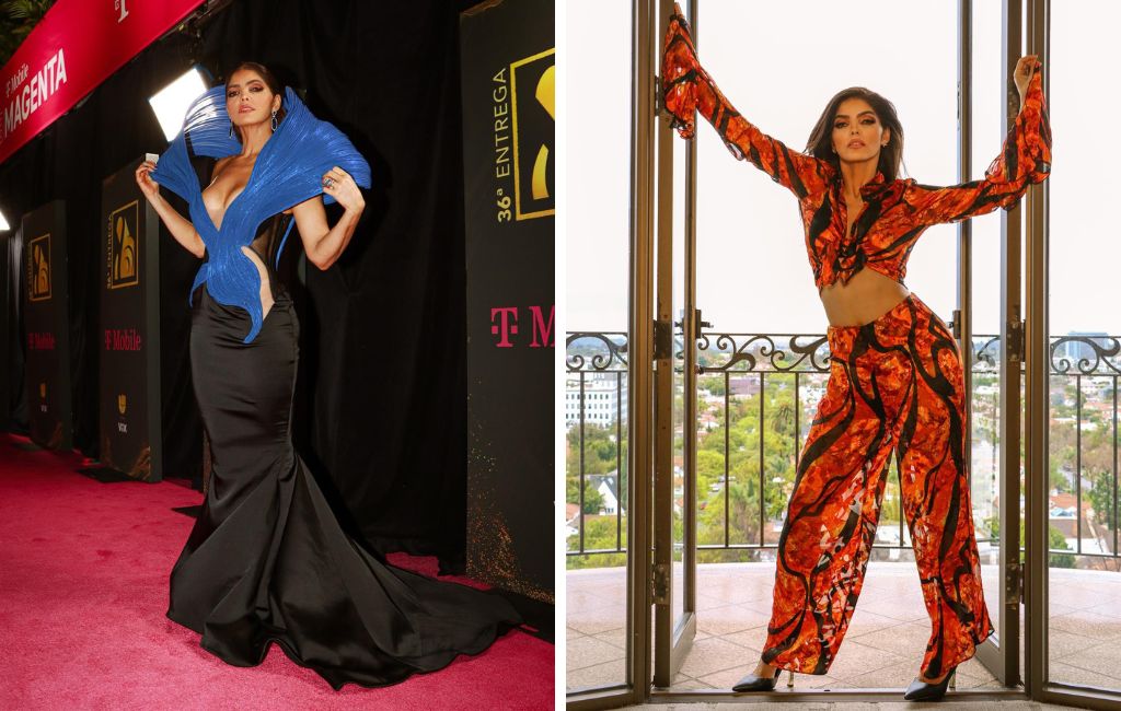 Ana Barbara Nose Job