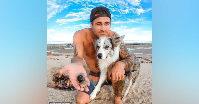 What Happened To Brodie Moss